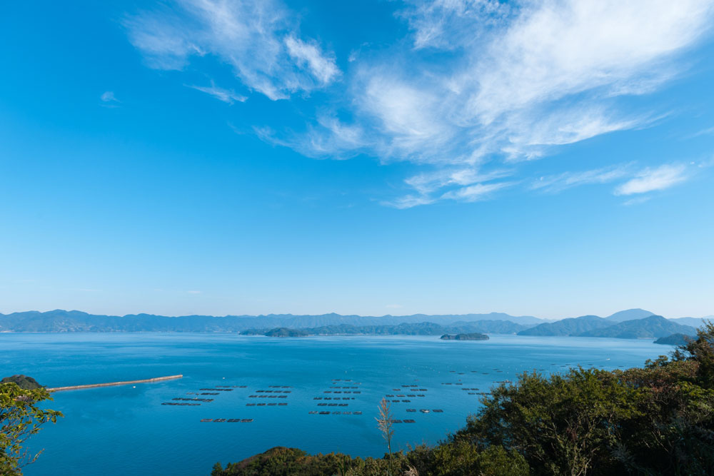 宇和海